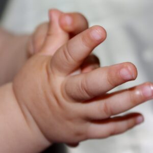 Cursos sobre embarazo, maternidad y familia