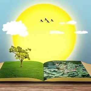 El uso de cuentos en psicoterapia
